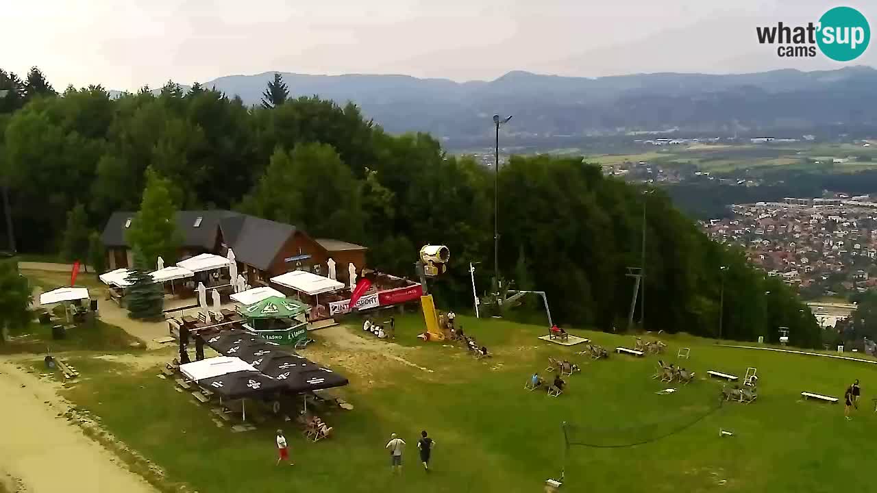 Webcam Pohorje Trikotna Jasa | Poštela