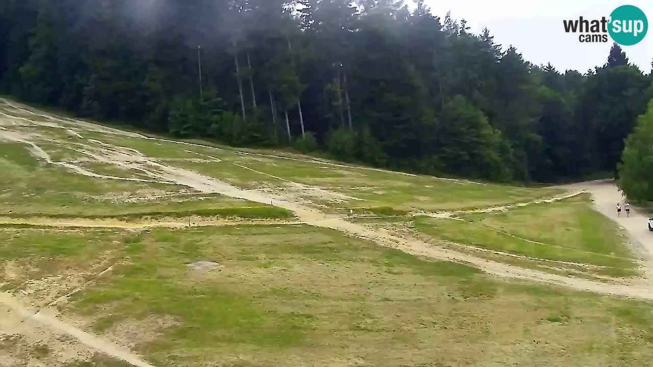 Webcam Pohorje Trikotna Jasa | Poštela