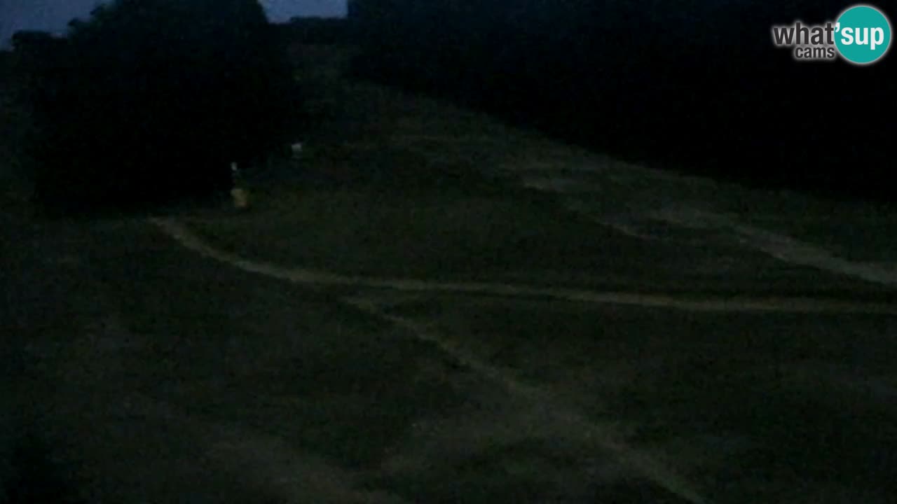 Webcam Pohorje Trikotna Jasa | Poštela