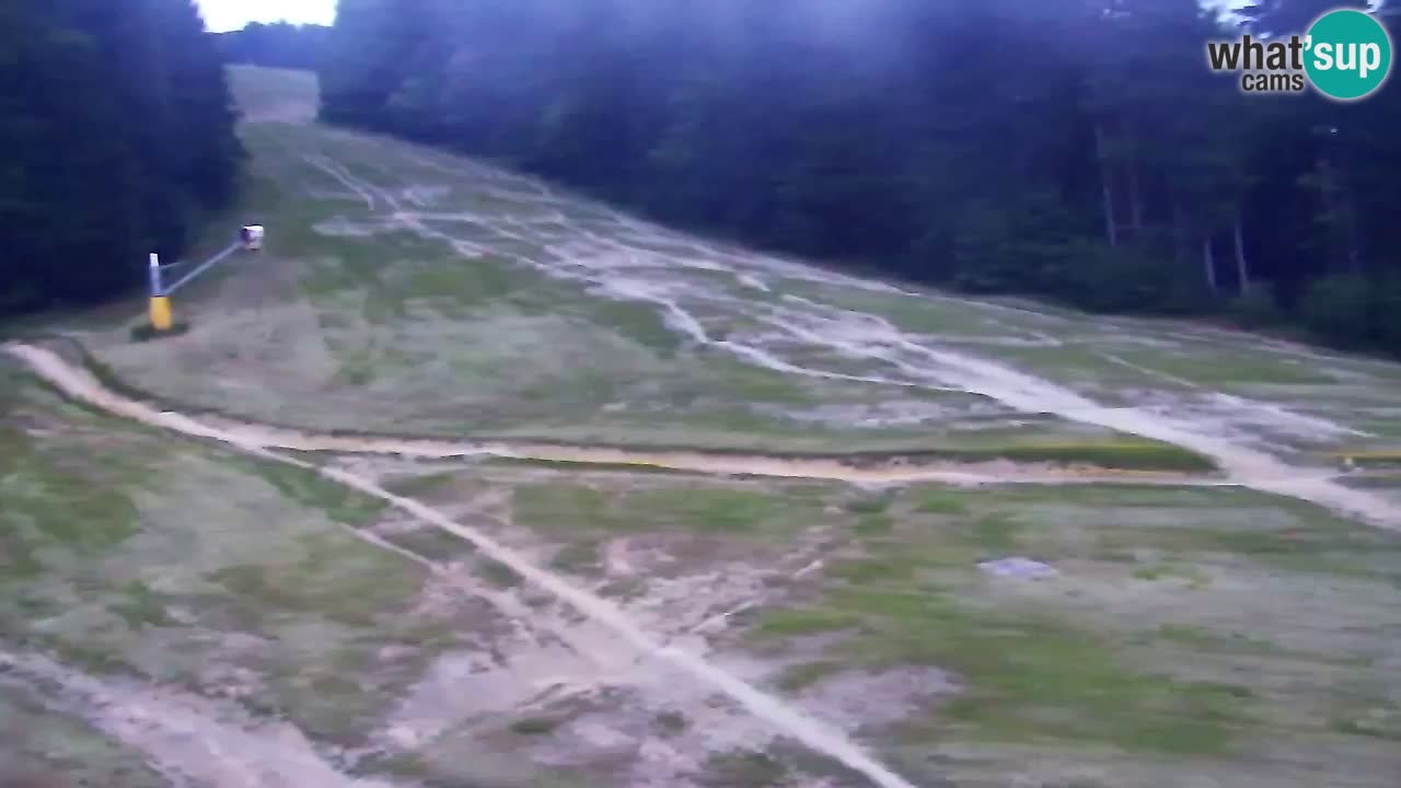 Webcam Pohorje Trikotna Jasa | Poštela