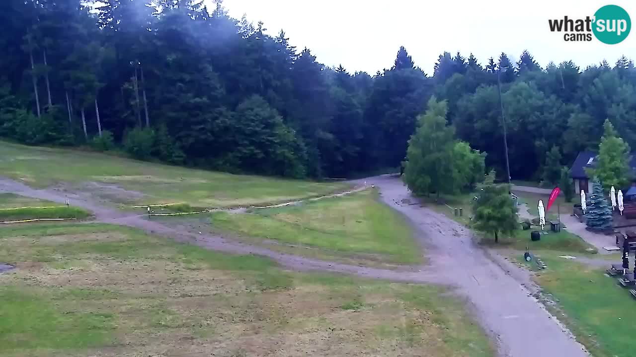 Webcam Pohorje Trikotna Jasa | Poštela