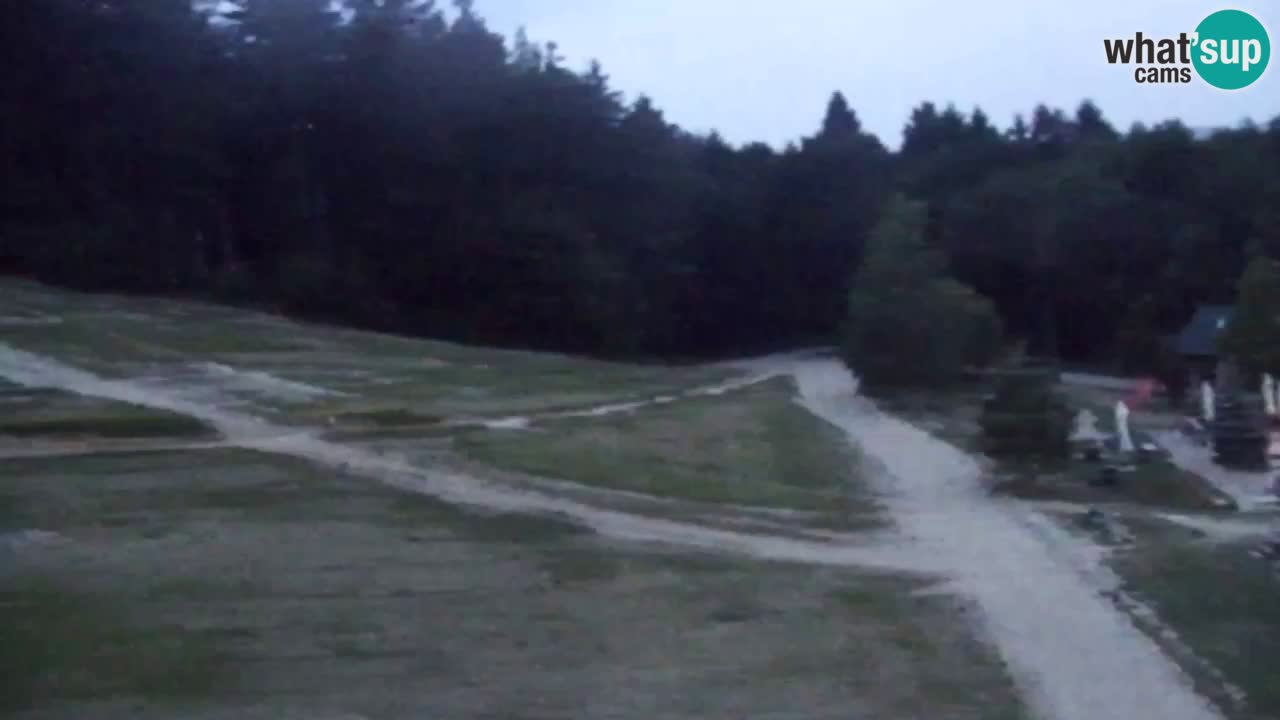 Webcam Pohorje Trikotna Jasa | Poštela
