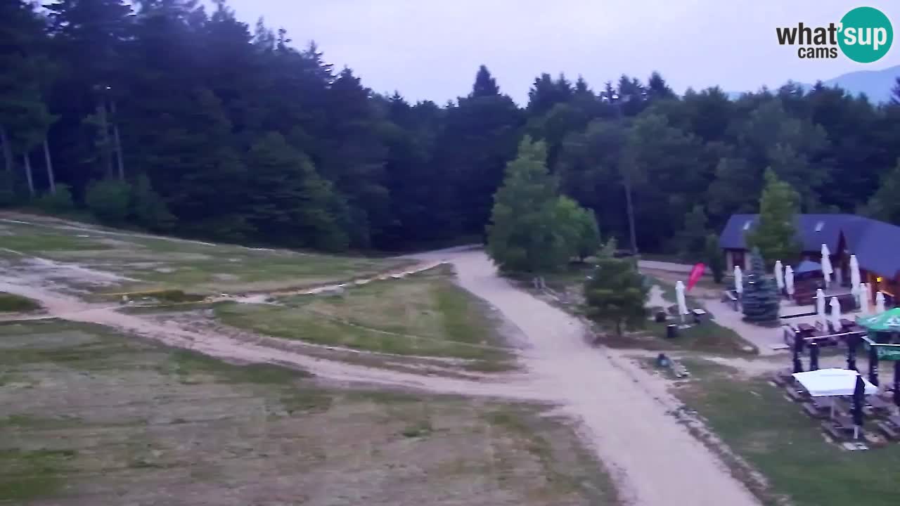 Webcam Pohorje Trikotna Jasa | Poštela