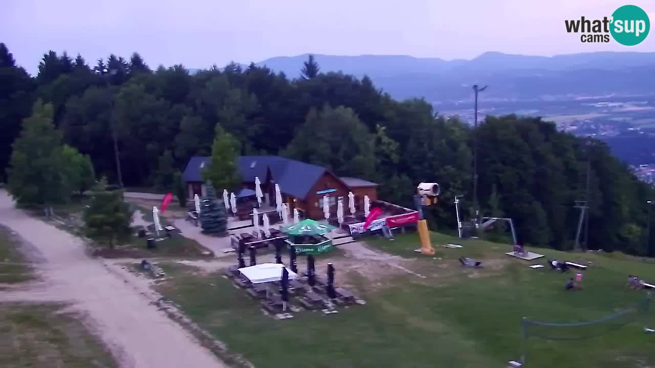 Webcam Pohorje Trikotna Jasa | Poštela