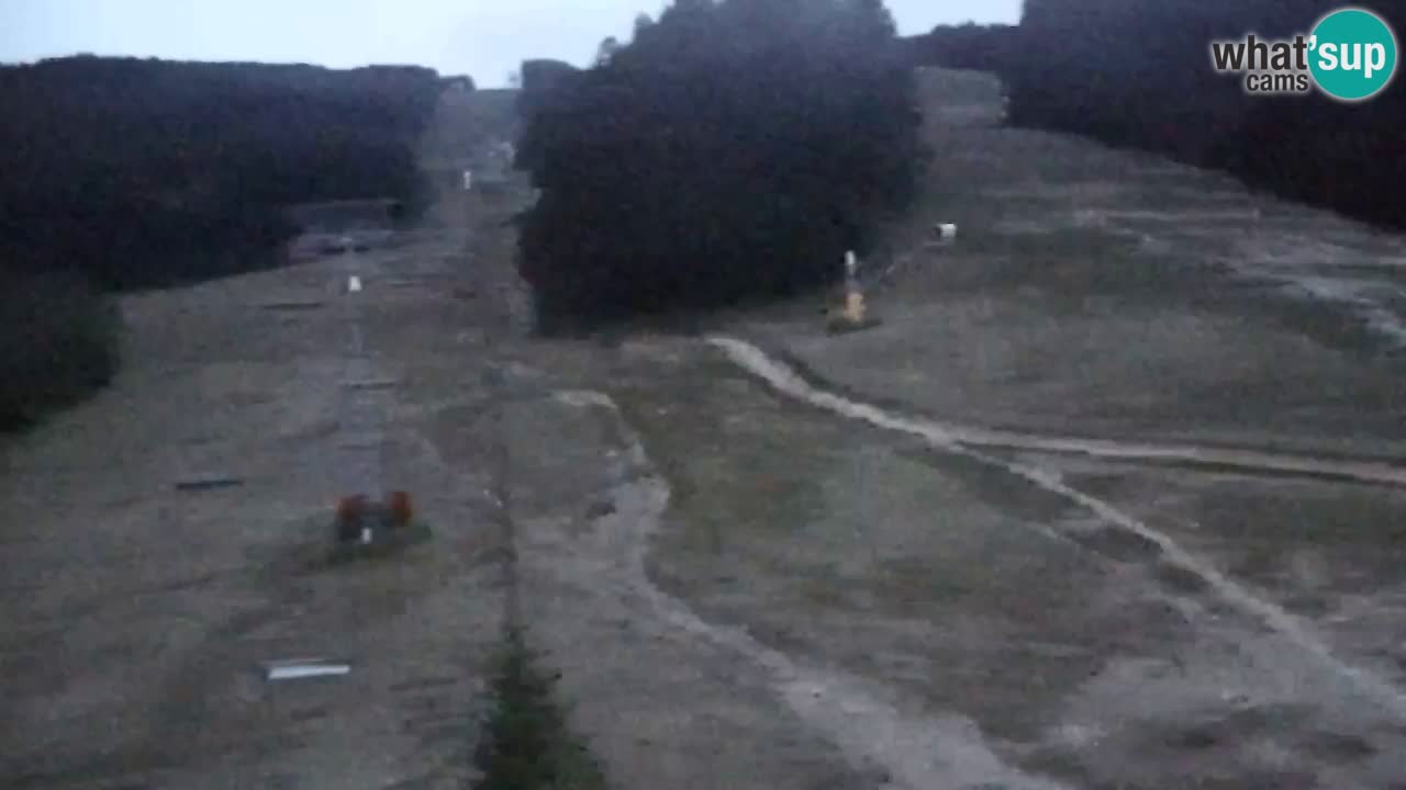 Spletna Kamera Pohorje Trikotna Jasa | Poštela