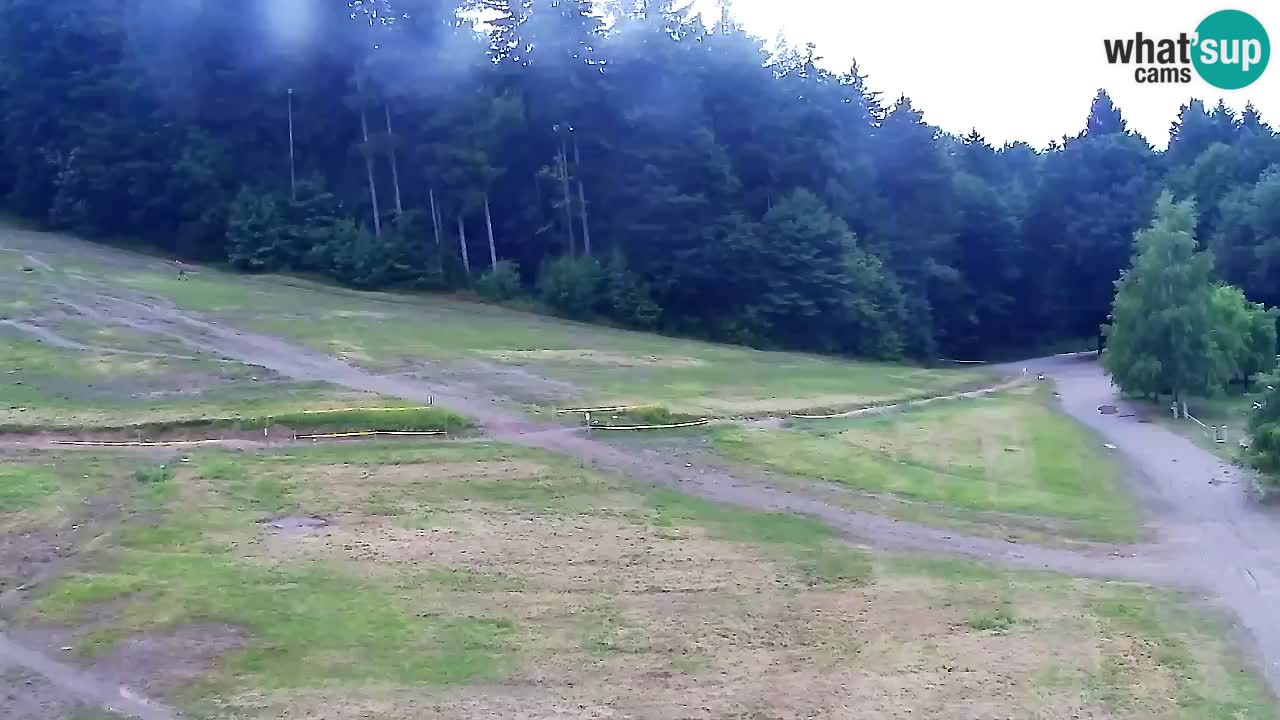 Webcam Pohorje Trikotna Jasa | Poštela