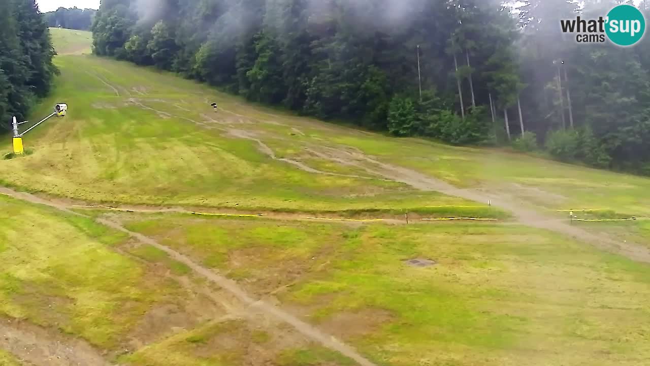 Webcam Pohorje Trikotna Jasa | Poštela