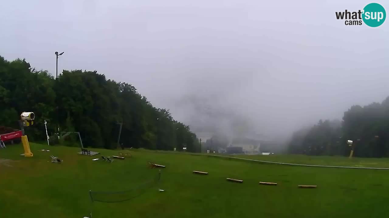 Webcam Pohorje Trikotna Jasa | Poštela
