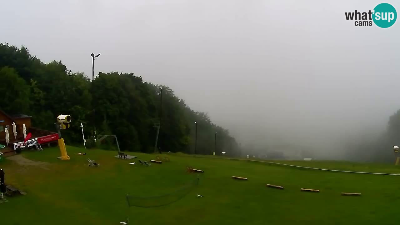 Webcam Pohorje Trikotna Jasa | Poštela