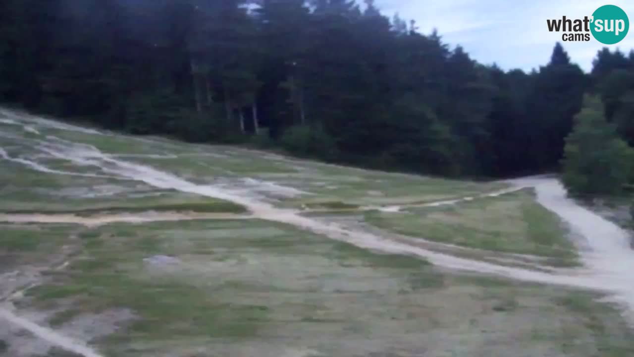 Spletna Kamera Pohorje Trikotna Jasa | Poštela