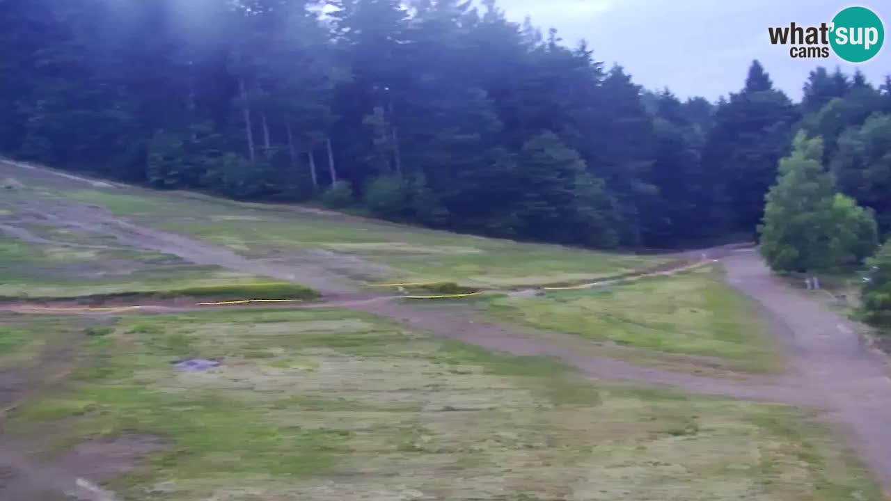 Webcam Pohorje Trikotna Jasa | Poštela