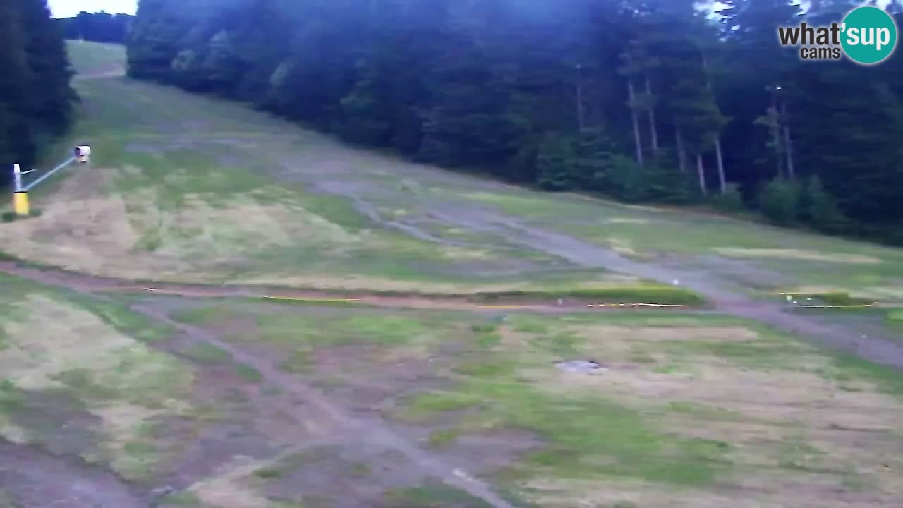 Spletna Kamera Pohorje Trikotna Jasa | Poštela