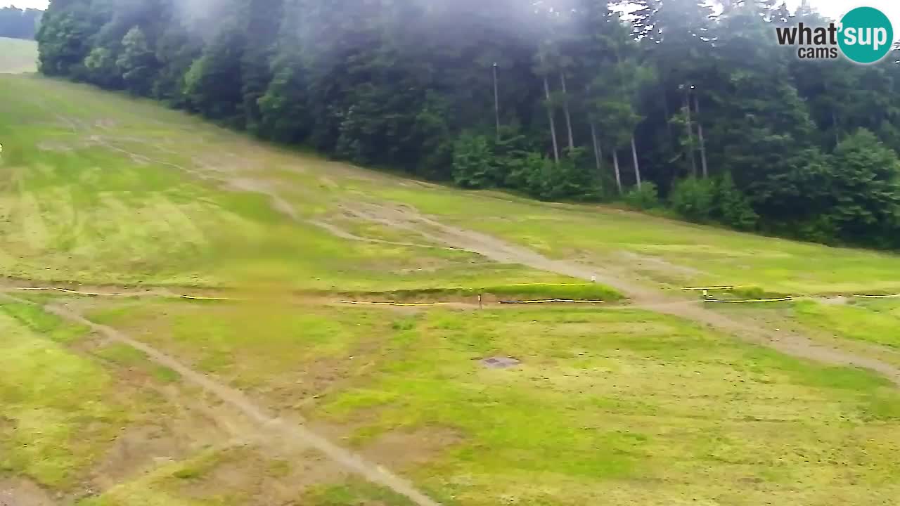 Webcam Pohorje Trikotna Jasa | Poštela