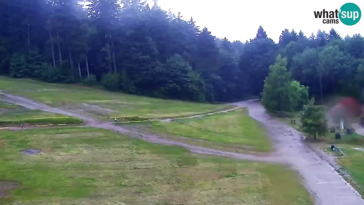 Web Camera Pohorje Trikotna Jasa | Poštela