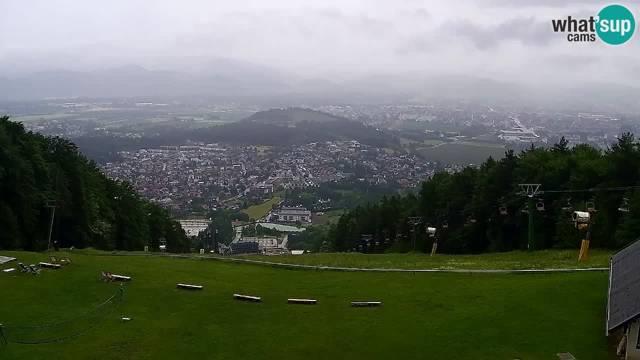 Webcam Pohorje Trikotna Jasa | Poštela