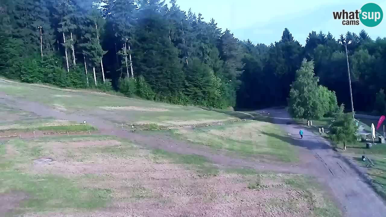 Webcam Pohorje Trikotna Jasa | Poštela