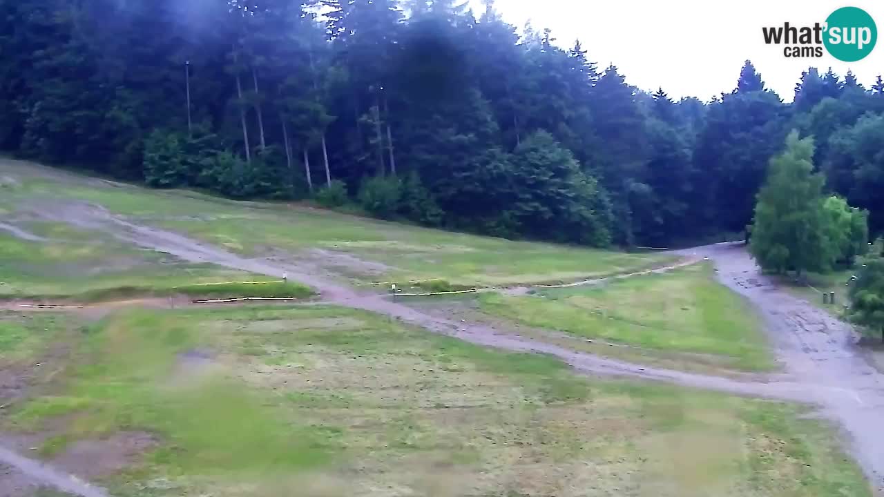 Web Camera Pohorje Trikotna Jasa | Poštela