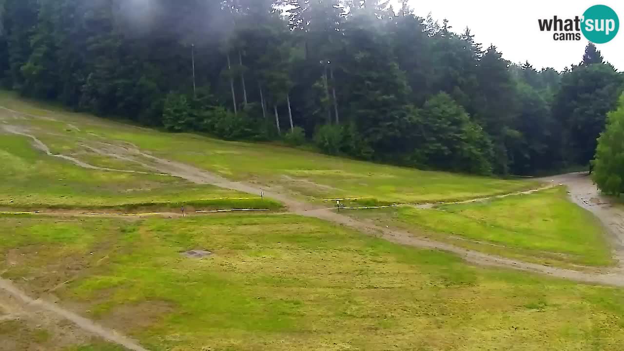 Web Camera Pohorje Trikotna Jasa | Poštela