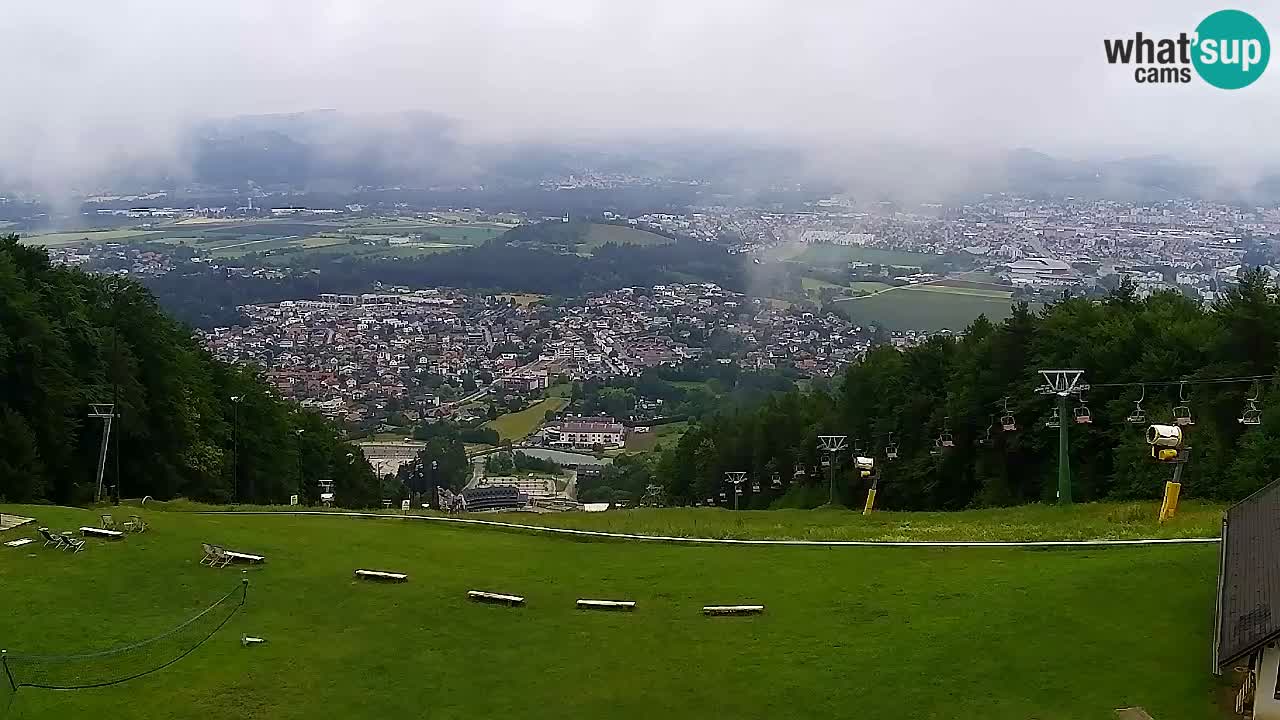 Webcam Pohorje Trikotna Jasa | Poštela