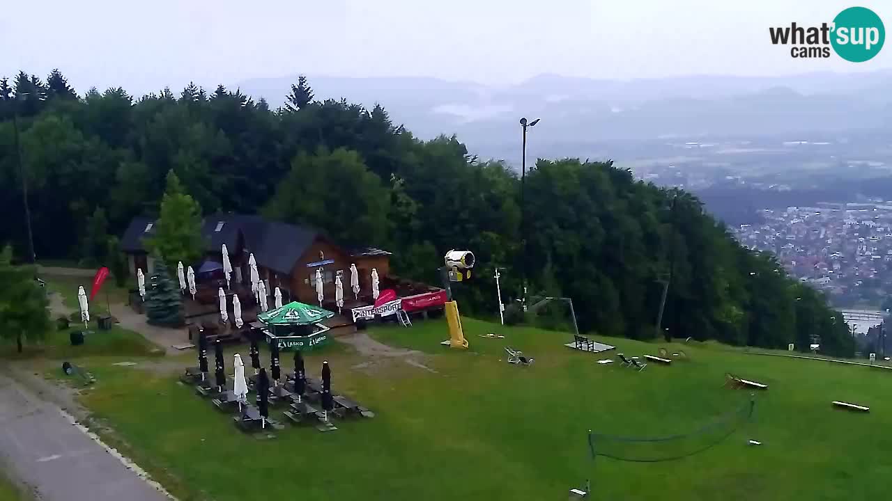 Webcam Pohorje Trikotna Jasa | Poštela