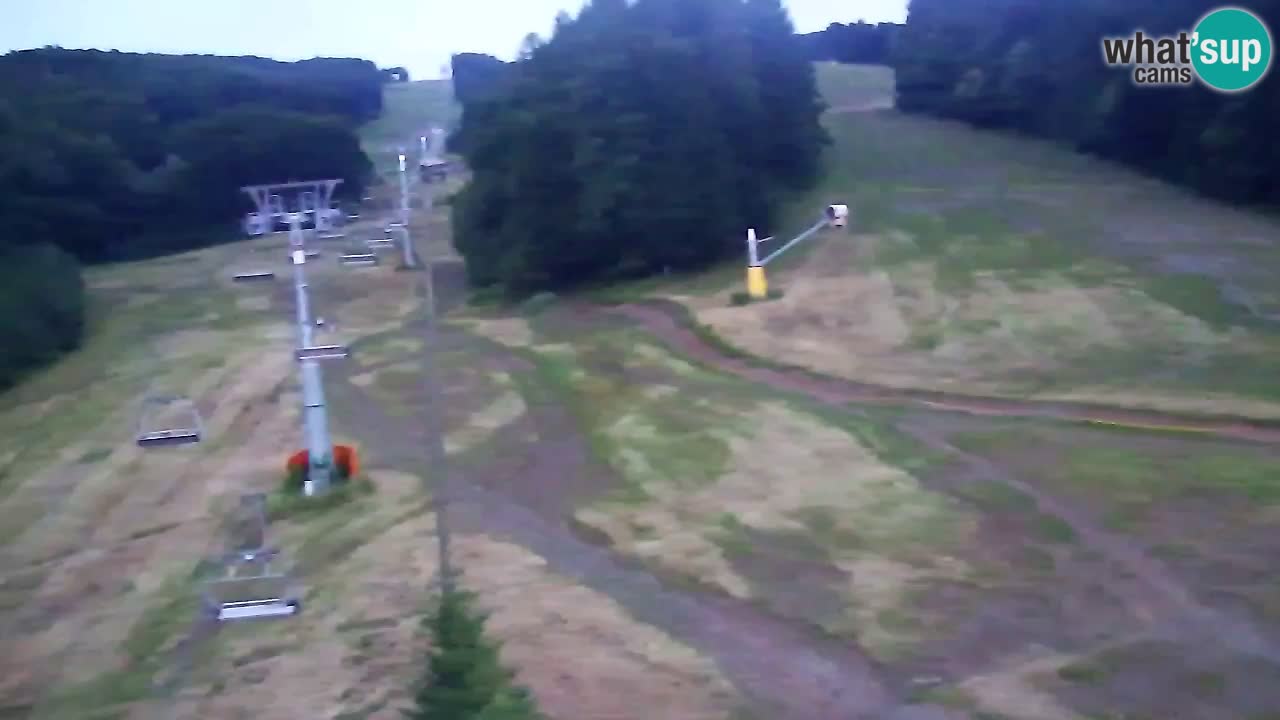Webcam Pohorje Trikotna Jasa | Poštela