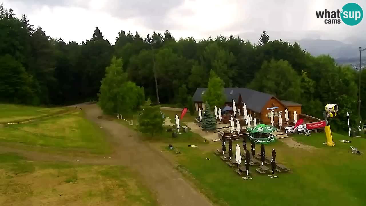 Webcam Pohorje Trikotna Jasa | Poštela