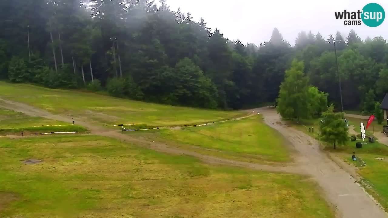 Webcam Pohorje Trikotna Jasa | Poštela