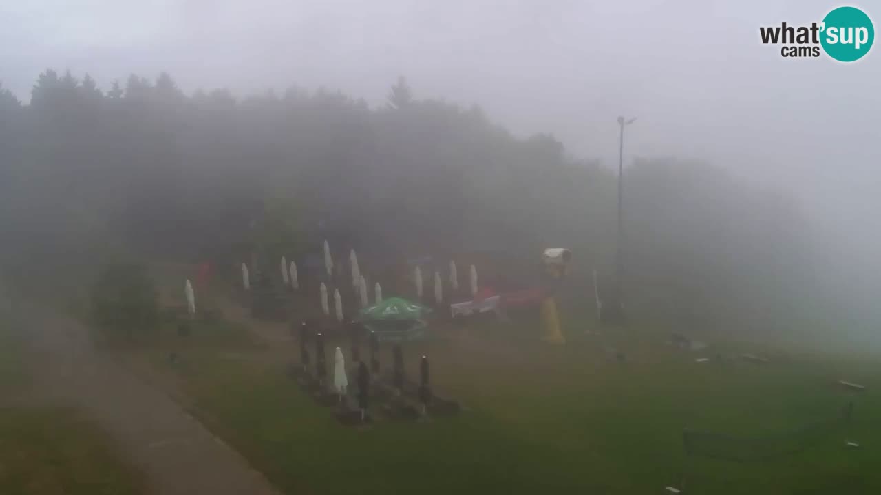 Webcam Pohorje Trikotna Jasa | Poštela
