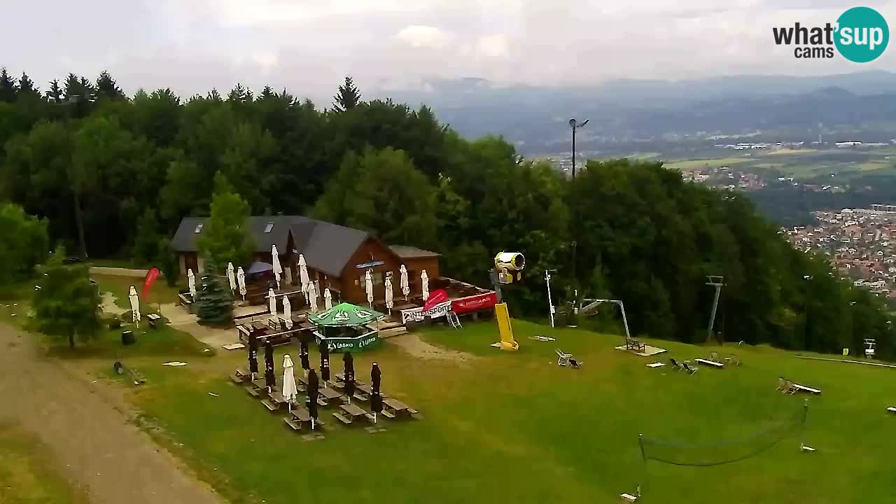 Webcam Pohorje Trikotna Jasa | Poštela