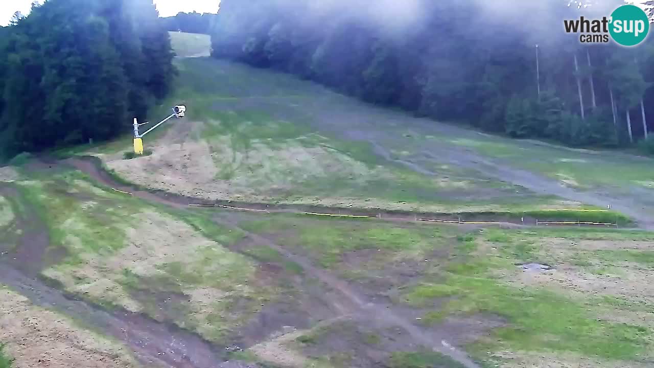 Spletna Kamera Pohorje Trikotna Jasa | Poštela