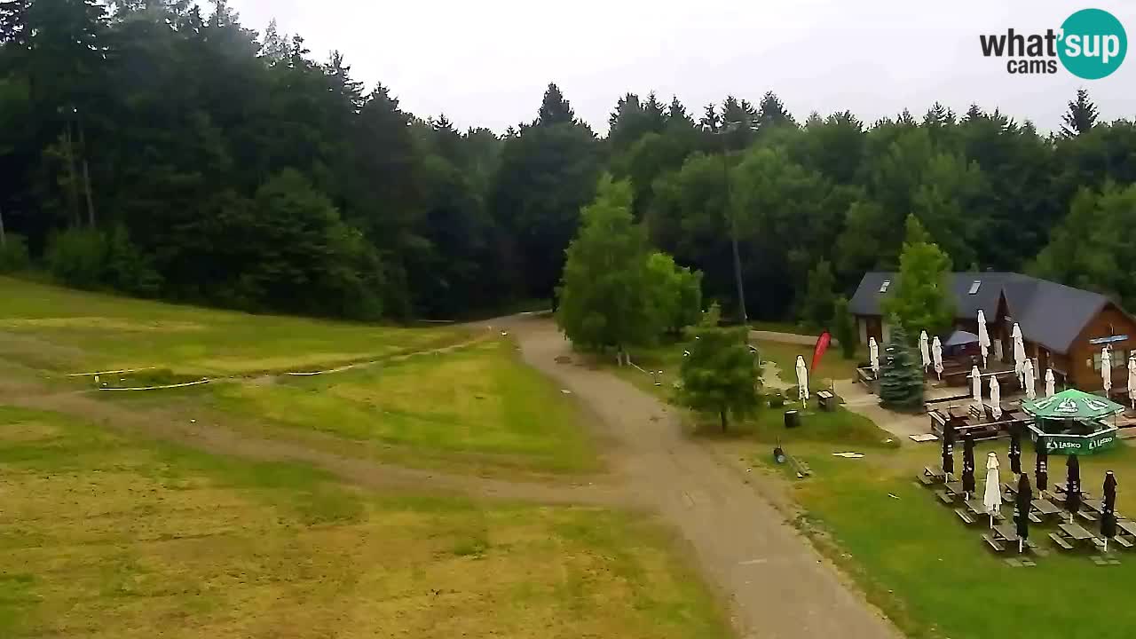 Webcam Pohorje Trikotna Jasa | Poštela