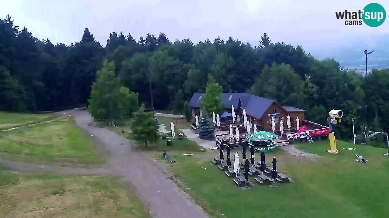 Webcam Pohorje Trikotna Jasa | Poštela