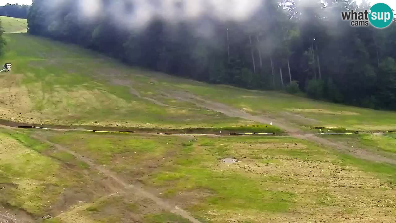 Spletna Kamera Pohorje Trikotna Jasa | Poštela