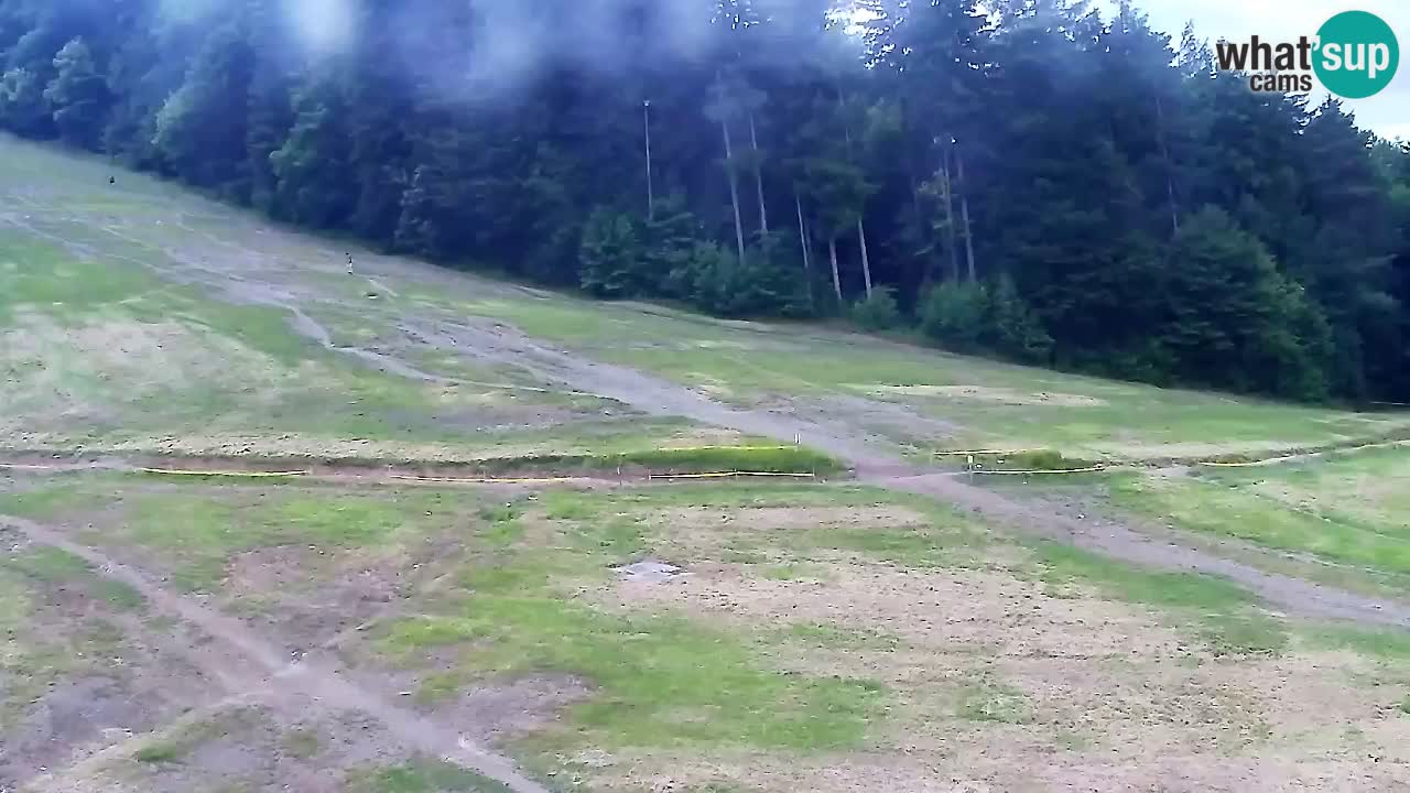 Webcam Pohorje Trikotna Jasa | Poštela