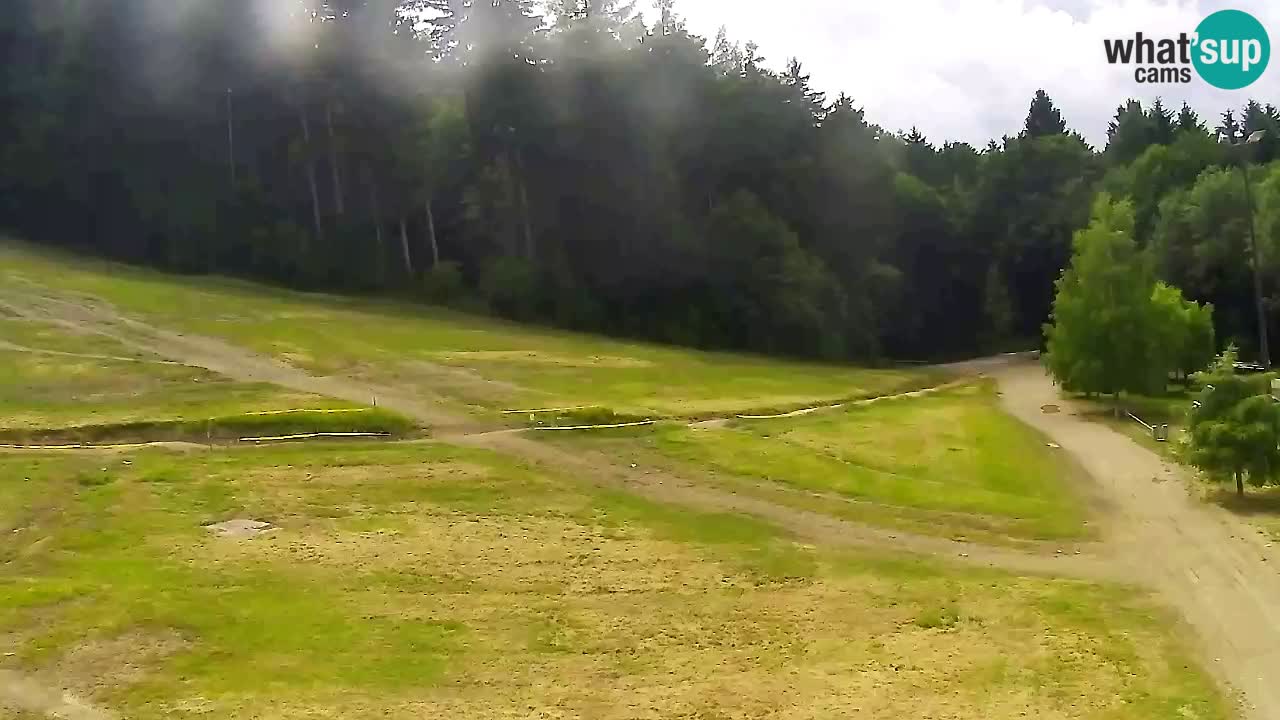 Webcam Pohorje Trikotna Jasa | Poštela
