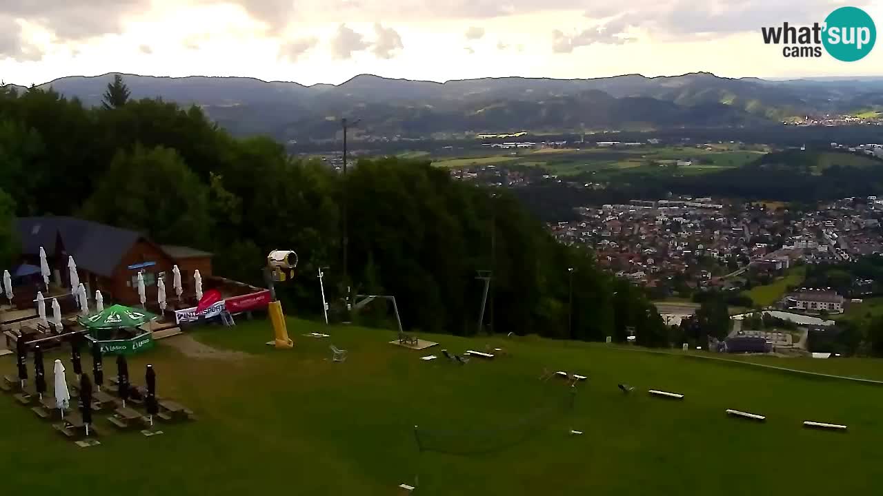 Webcam Pohorje Trikotna Jasa | Poštela