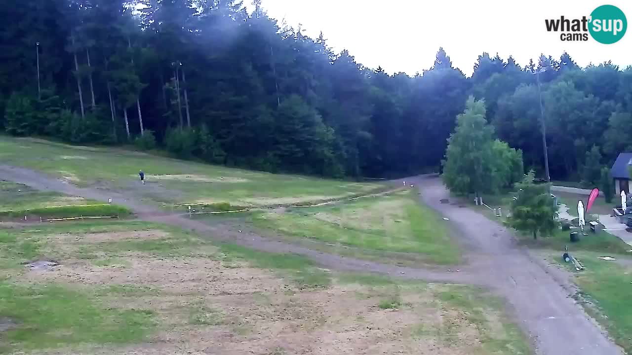 Webcam Pohorje Trikotna Jasa | Poštela