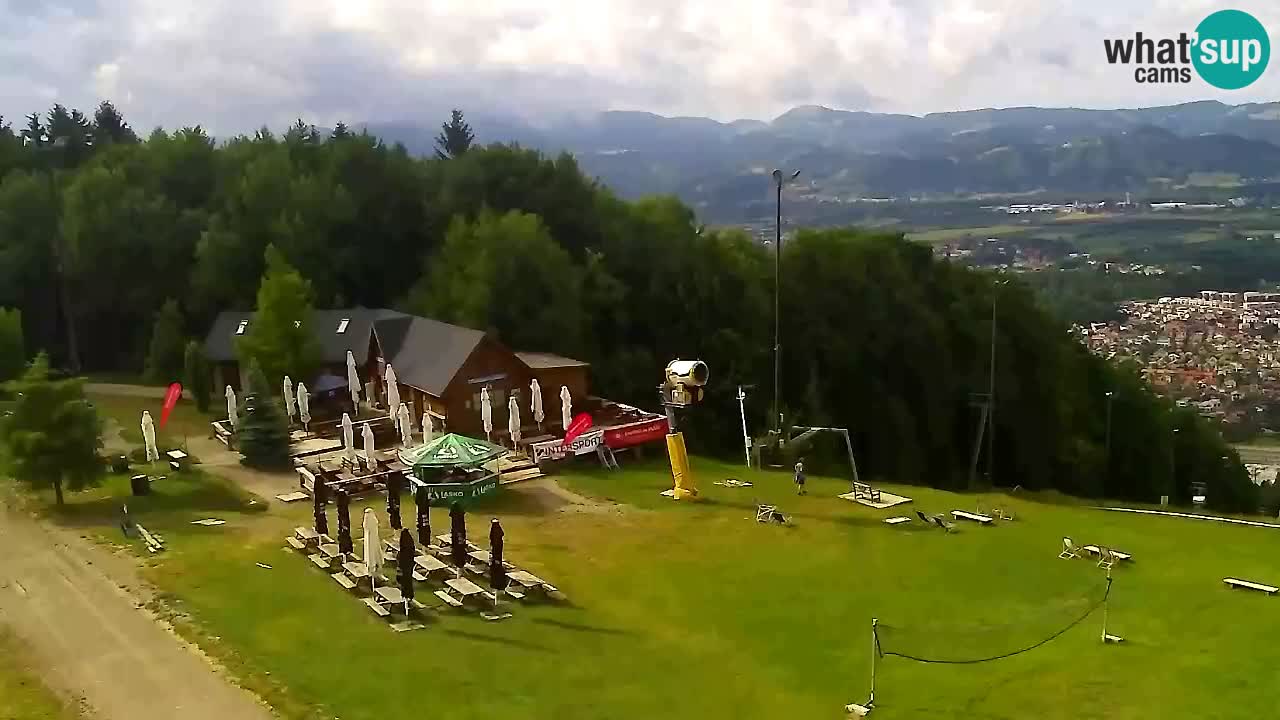 Webcam Pohorje Trikotna Jasa | Poštela