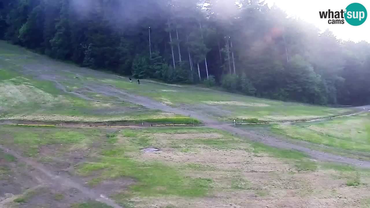 Spletna Kamera Pohorje Trikotna Jasa | Poštela