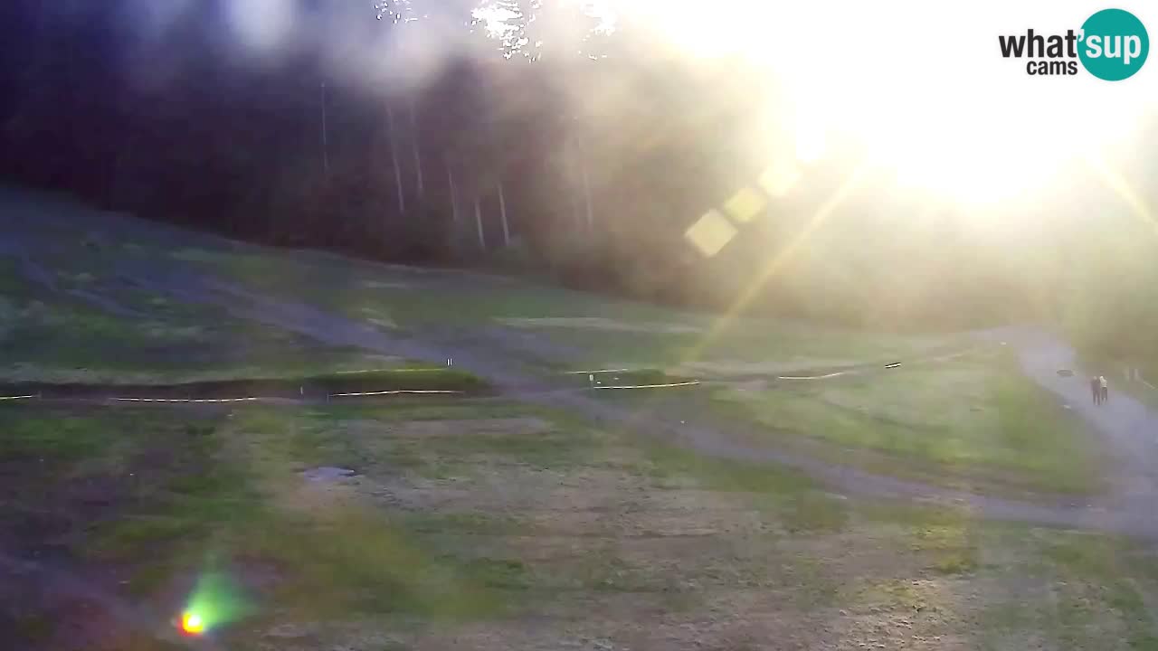Webcam Pohorje Trikotna Jasa | Poštela