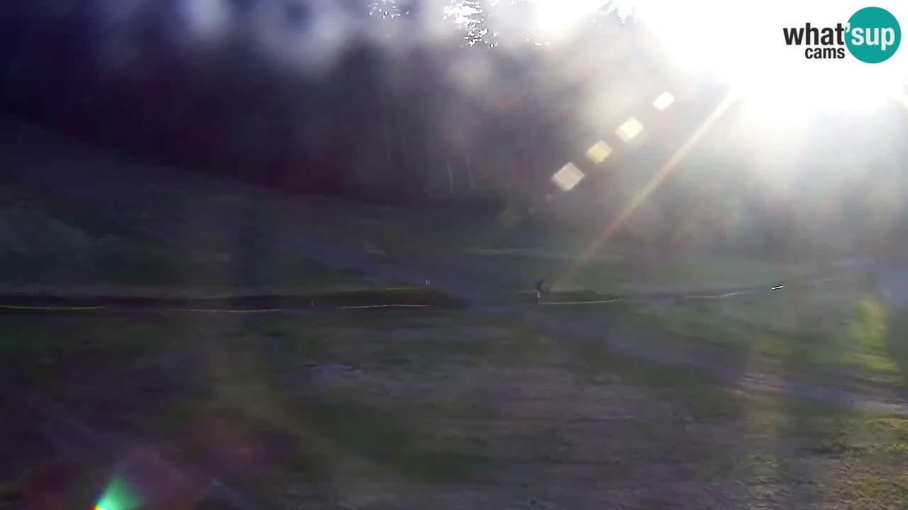 Web Camera Pohorje Trikotna Jasa | Poštela