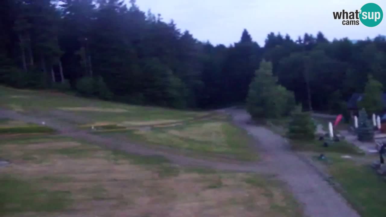 Webcam Pohorje Trikotna Jasa | Poštela