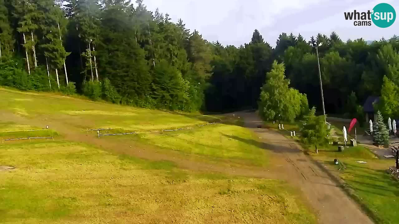Webcam Pohorje Trikotna Jasa | Poštela