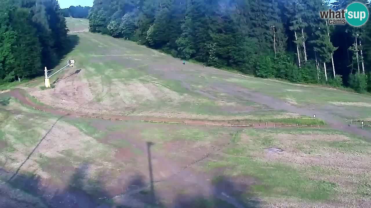 Webcam Pohorje Trikotna Jasa | Poštela