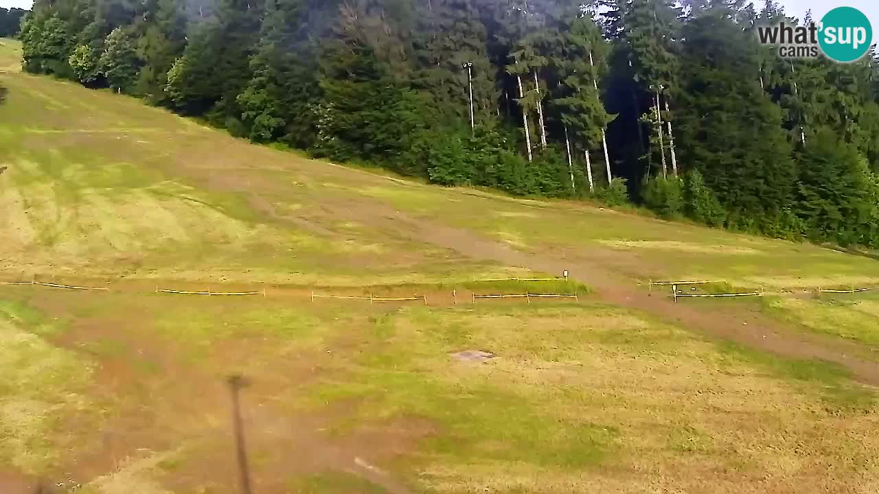 Webcam Pohorje Trikotna Jasa | Poštela