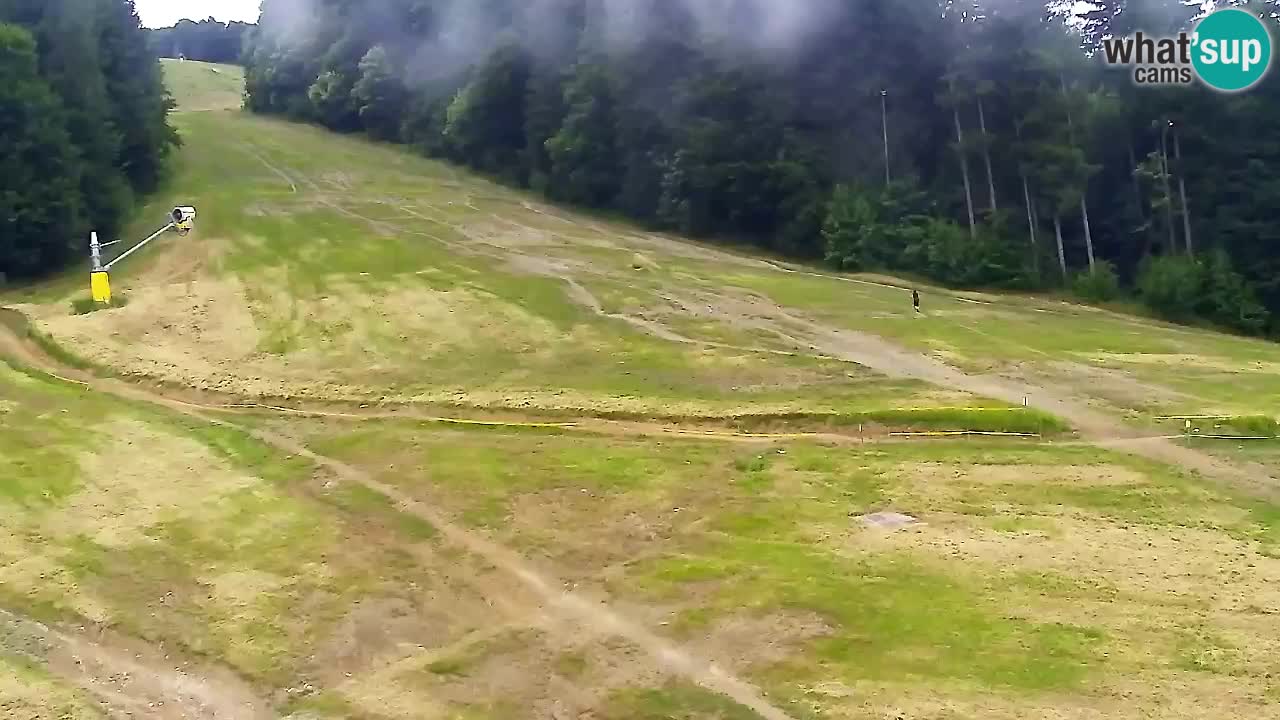 Webcam Pohorje Trikotna Jasa | Poštela