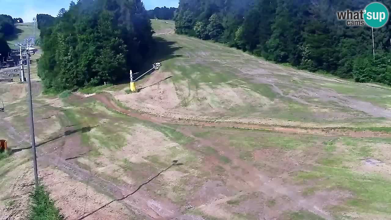 Webcam Pohorje Trikotna Jasa | Poštela