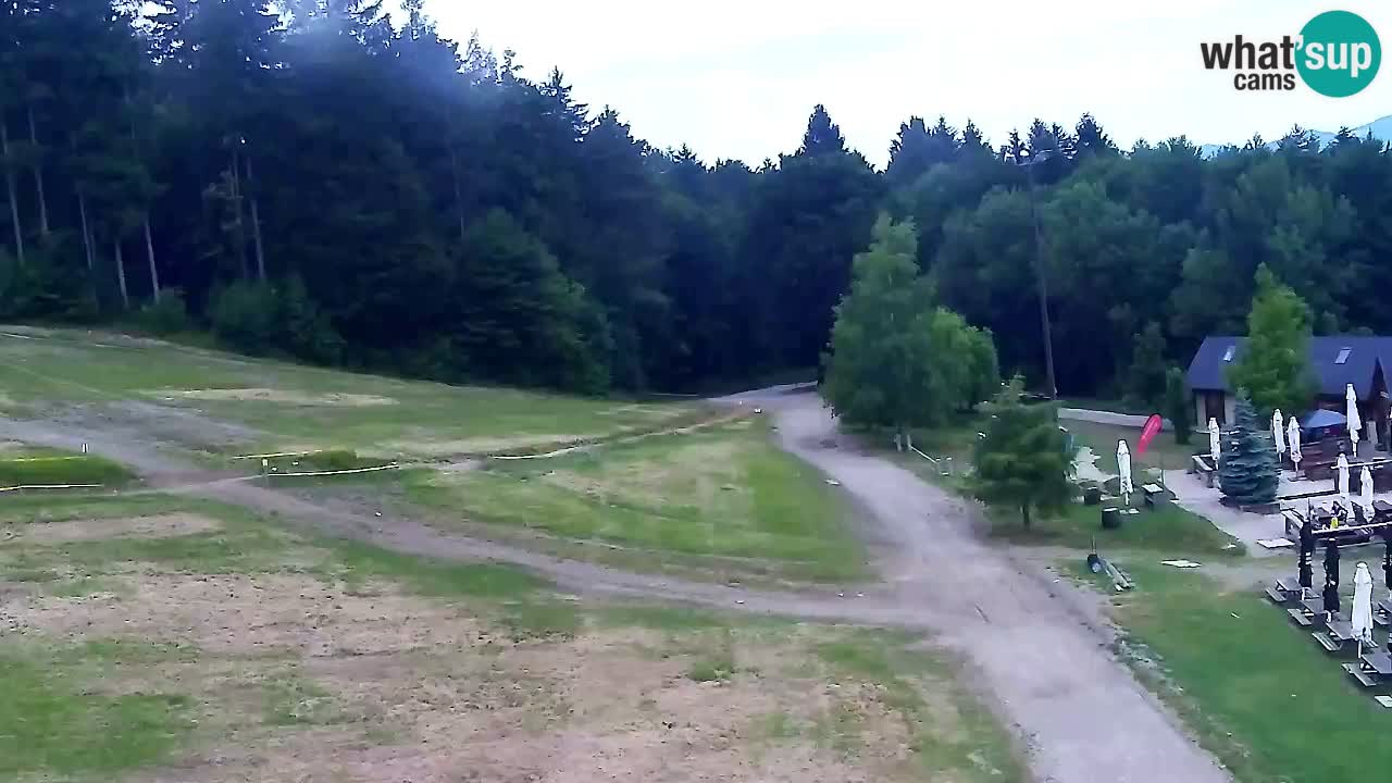 Webcam Pohorje Trikotna Jasa | Poštela
