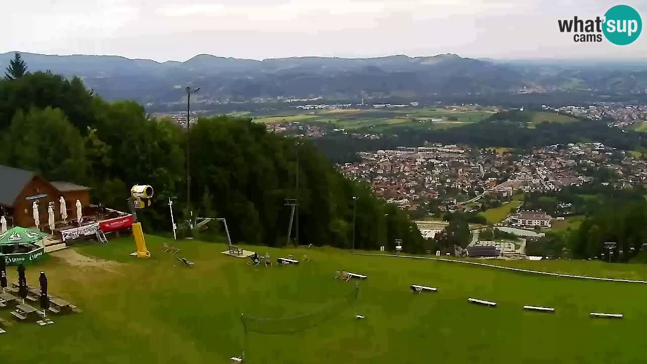 Web Camera Pohorje Trikotna Jasa | Poštela