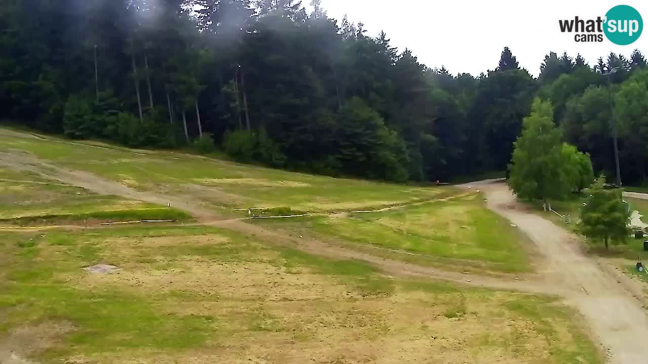 Web Camera Pohorje Trikotna Jasa | Poštela
